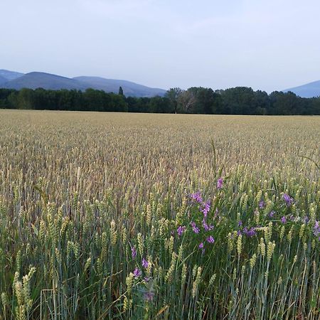 Cal Jan - Cadi Διαμέρισμα Bellver De Cerdanya Εξωτερικό φωτογραφία